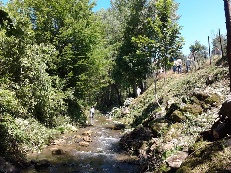 Foto