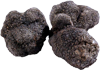 tartufo nero